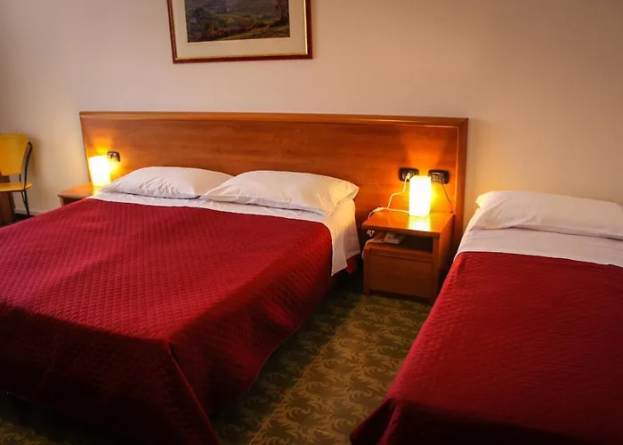 Hotel Centrale 3* エステ